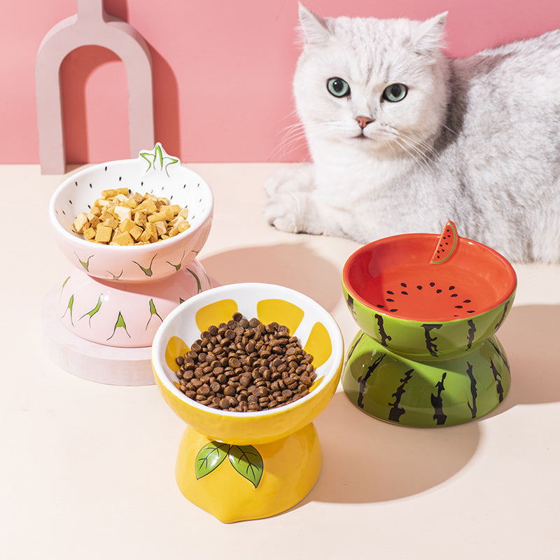 Elevated Ceramic Cat Bowl for Easier Daily Feeding