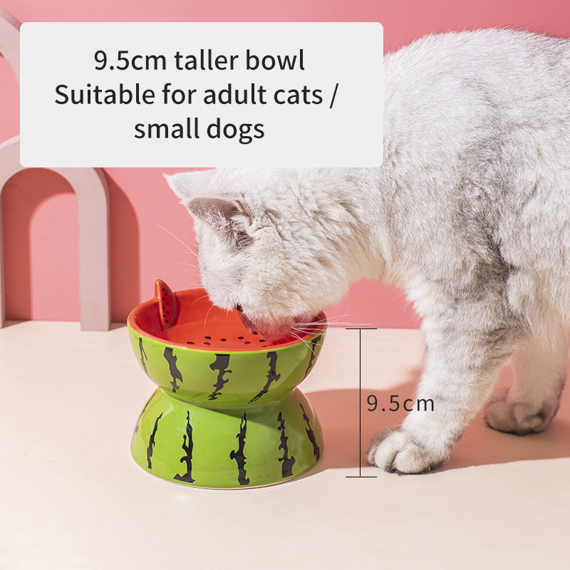 Elevated Ceramic Cat Bowl for Easier Daily Feeding