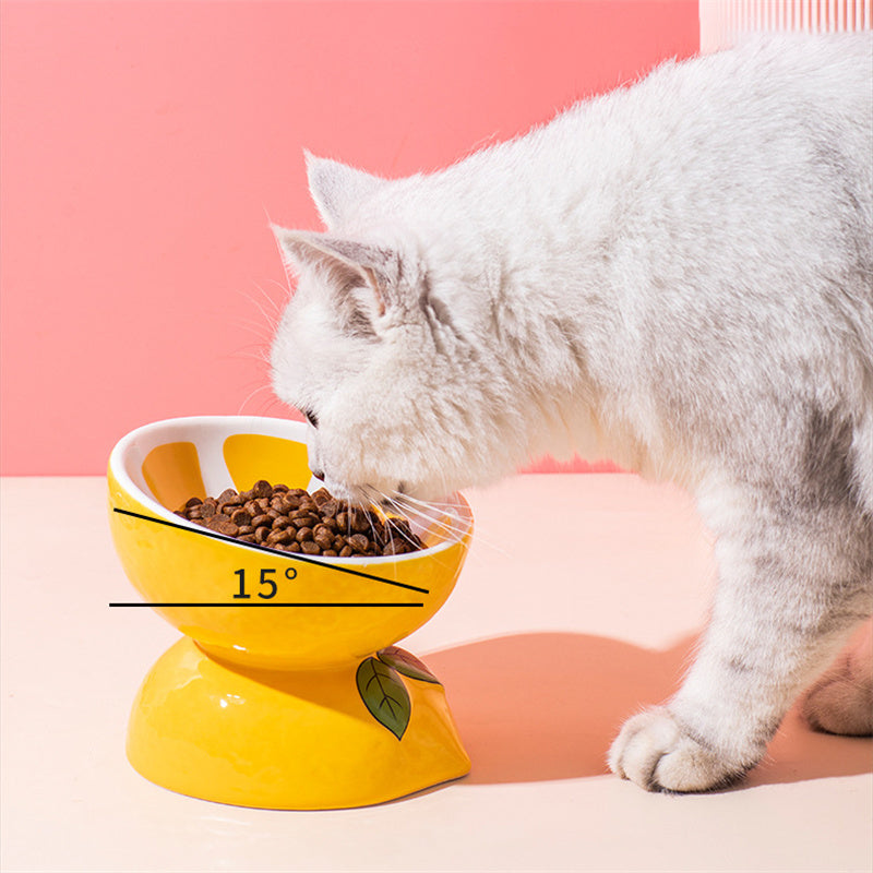 Elevated Ceramic Cat Bowl for Easier Daily Feeding