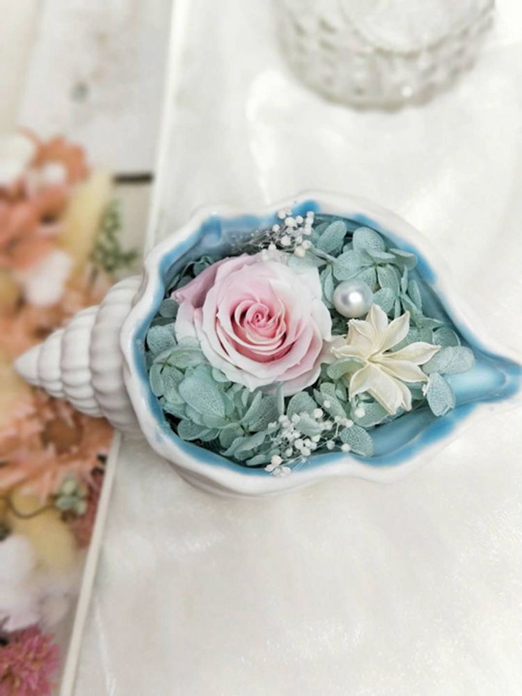 Ceramic Conch Shell Vase for Romantic Eternal Flowers