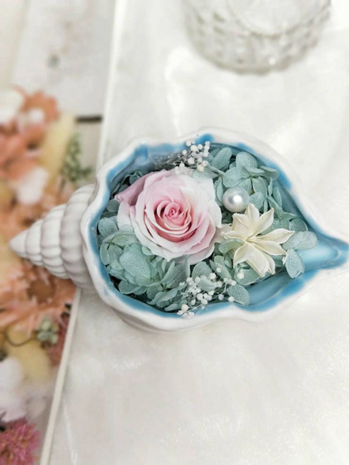 Ceramic Conch Shell Vase for Romantic Eternal Flowers