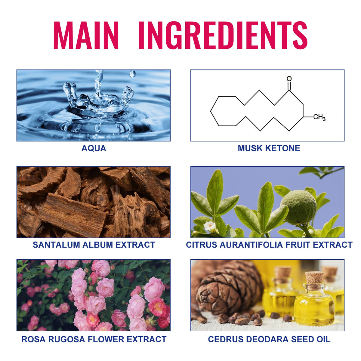 Charm Perfume for Women | Travel-Size Soft Fragrance