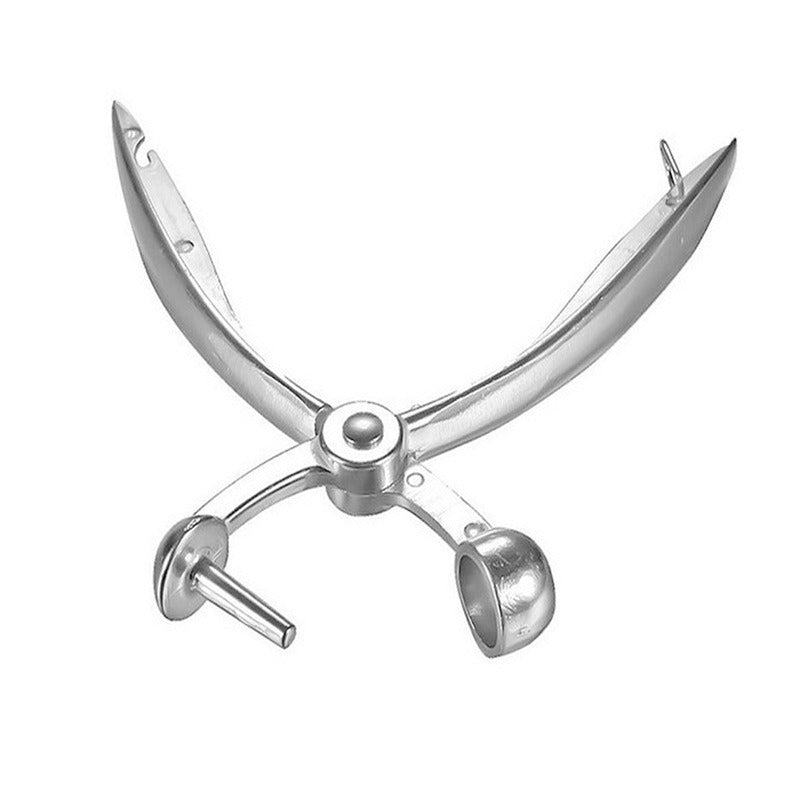Cherry Pitter Tool, Stainless Steel Olive & Date Pitter