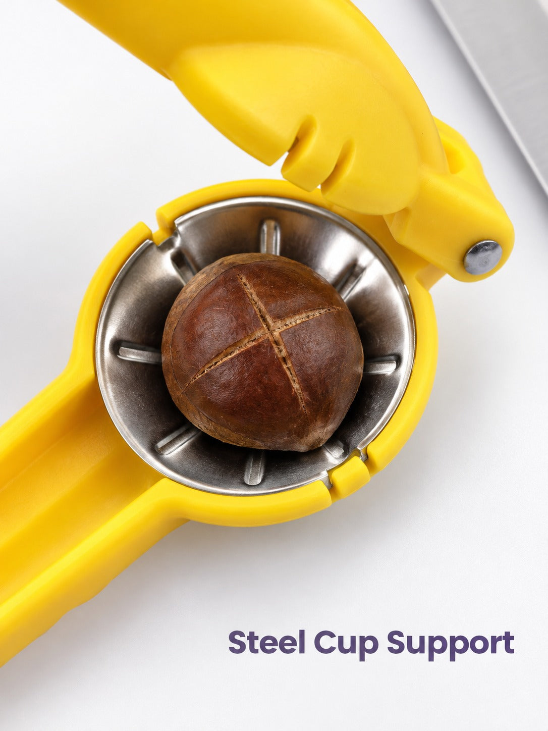 Chestnut Opener Clip: Shell Chestnuts Without a Knife