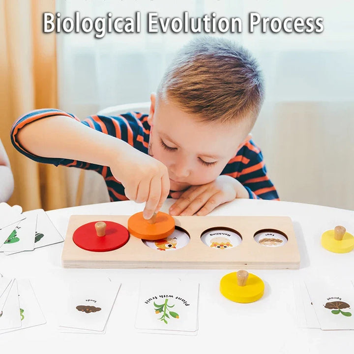 Evolution Growth Puzzle Toy for Sequencing & Matching