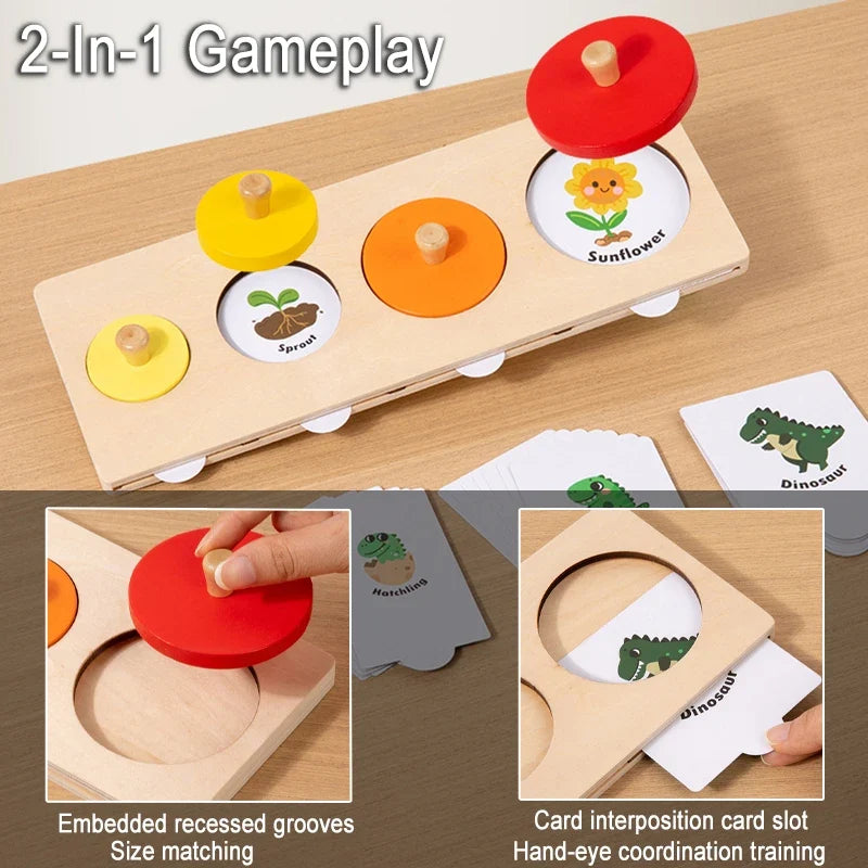 Evolution Growth Puzzle Toy for Sequencing & Matching