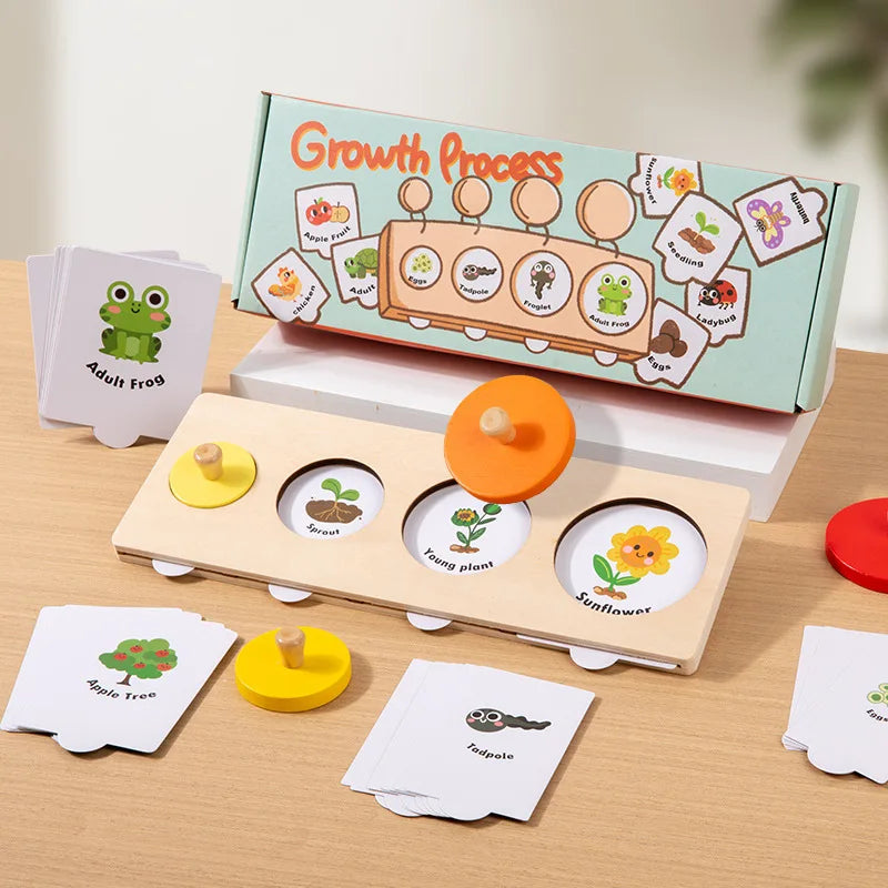Evolution Growth Puzzle Toy for Sequencing & Matching