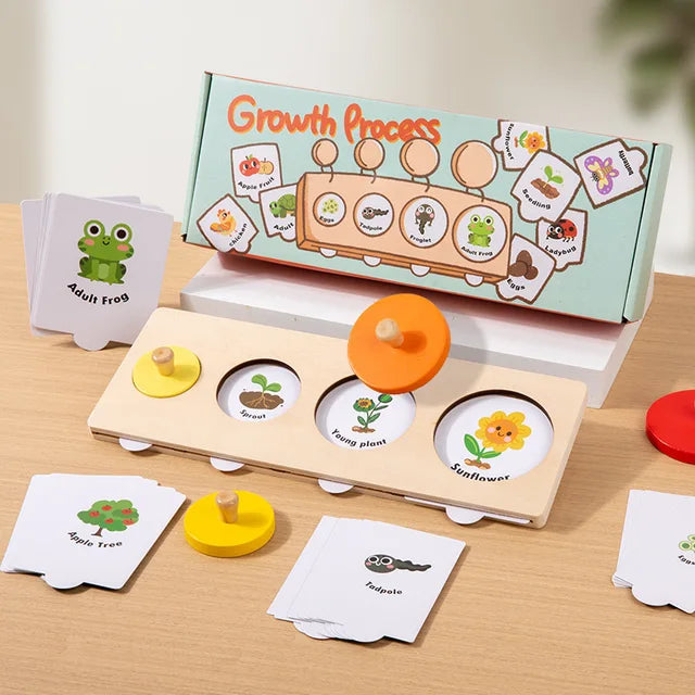 Evolution Growth Puzzle Toy for Sequencing & Matching