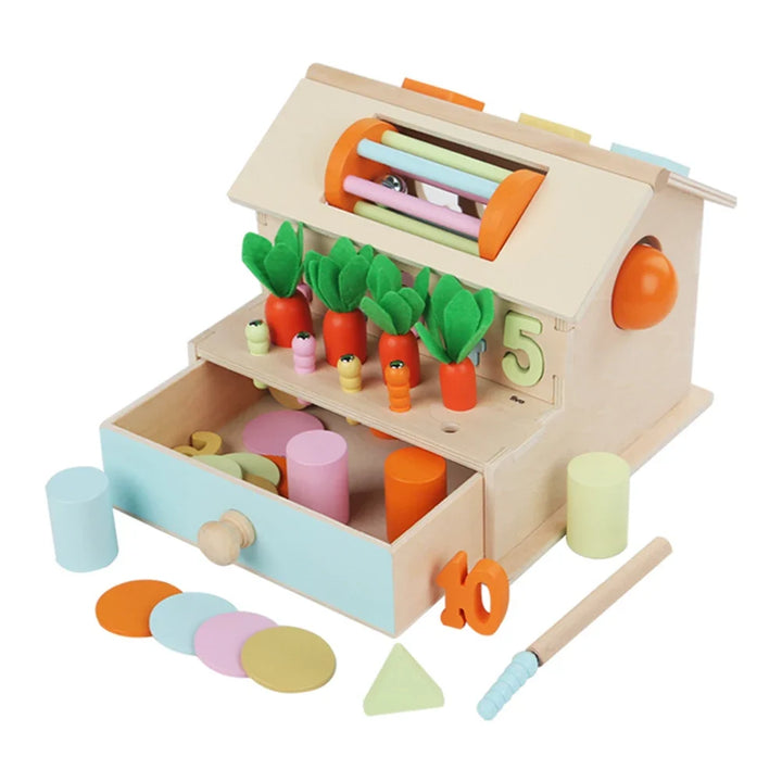 Wooden Activity Box for Toddler Color & Shape Learning