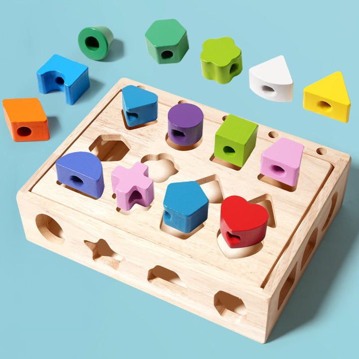 Wooden Shape Matching Puzzle for Screen-Free Learning