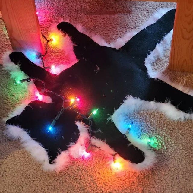 Christmas Flattened Cat Light Decoration for Floors