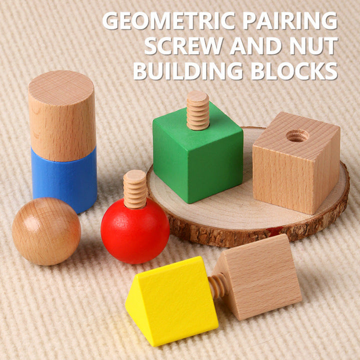 Wooden Shape Matching Toy for Fine Motor Skill Practice