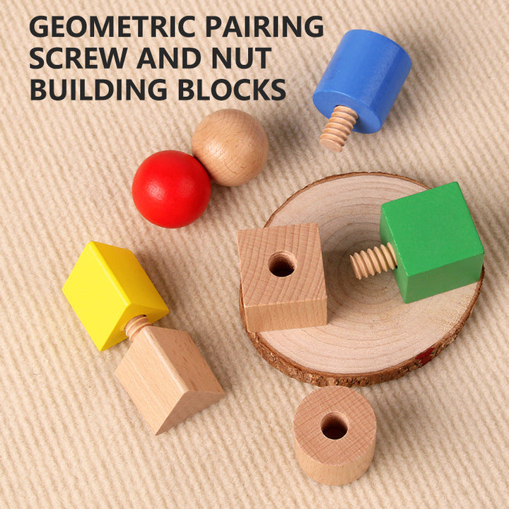 Wooden Shape Matching Toy for Fine Motor Skill Practice