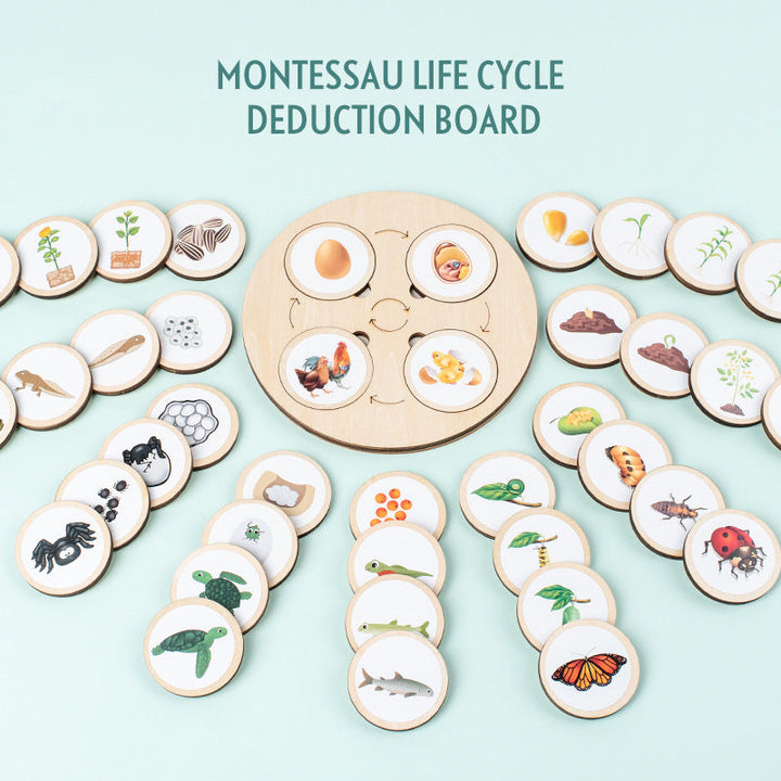 Wooden Life Cycle Puzzle Board for Nature Learning