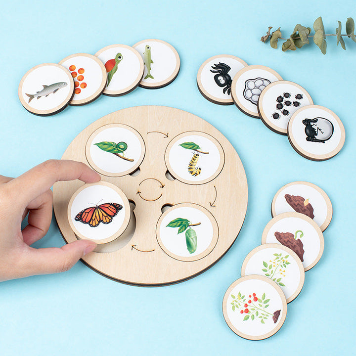 Wooden Life Cycle Puzzle Board for Nature Learning