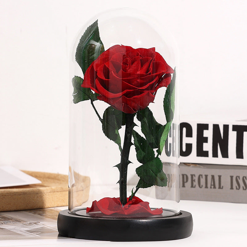 Preserved Red Rose Gift with Glass Dome Romantic Keepsake