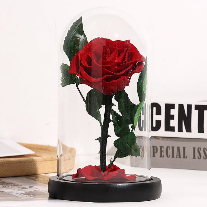 Preserved Red Rose Gift with Glass Dome Romantic Keepsake