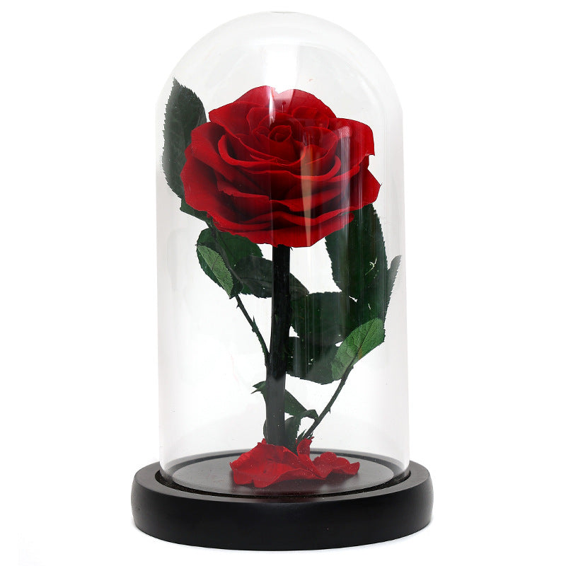 Preserved Red Rose Gift with Glass Dome Romantic Keepsake