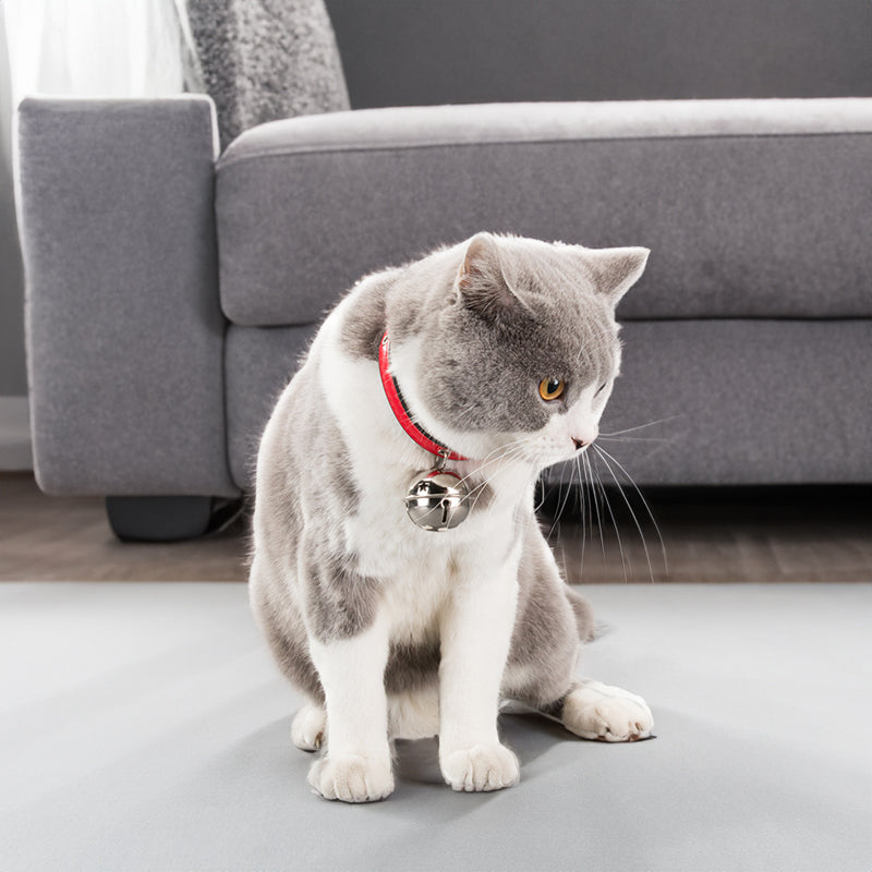 Adjustable Pet Collar With Bell for Playful Everyday Style