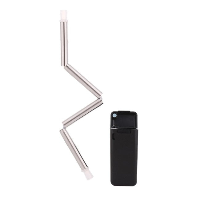 Collapsible Stainless Steel Straw with Travel Case