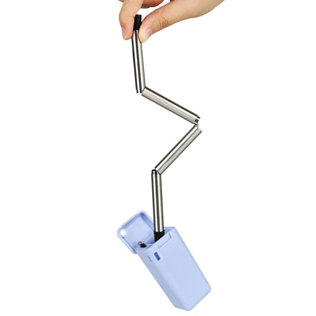 Collapsible Stainless Steel Straw with Travel Case