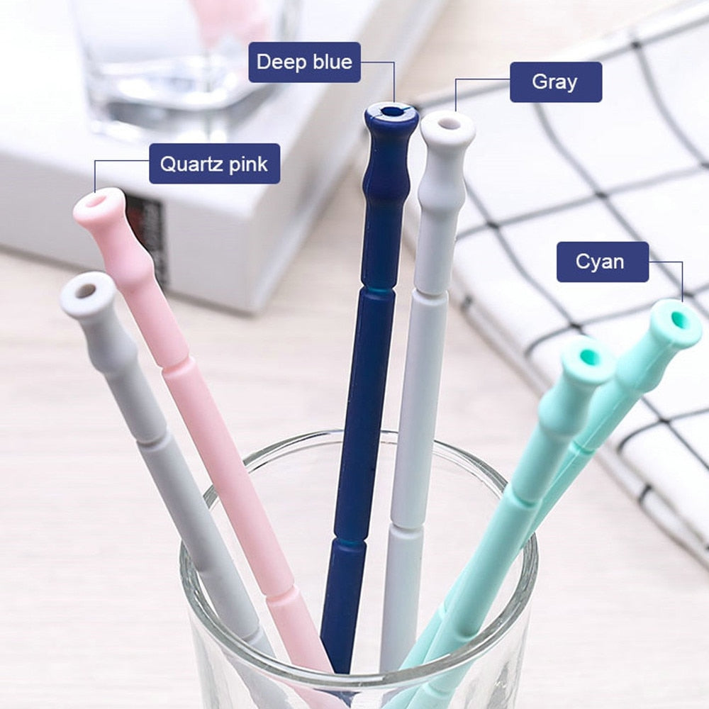 Collapsible Silicone Reusable Straw with Carrying Case