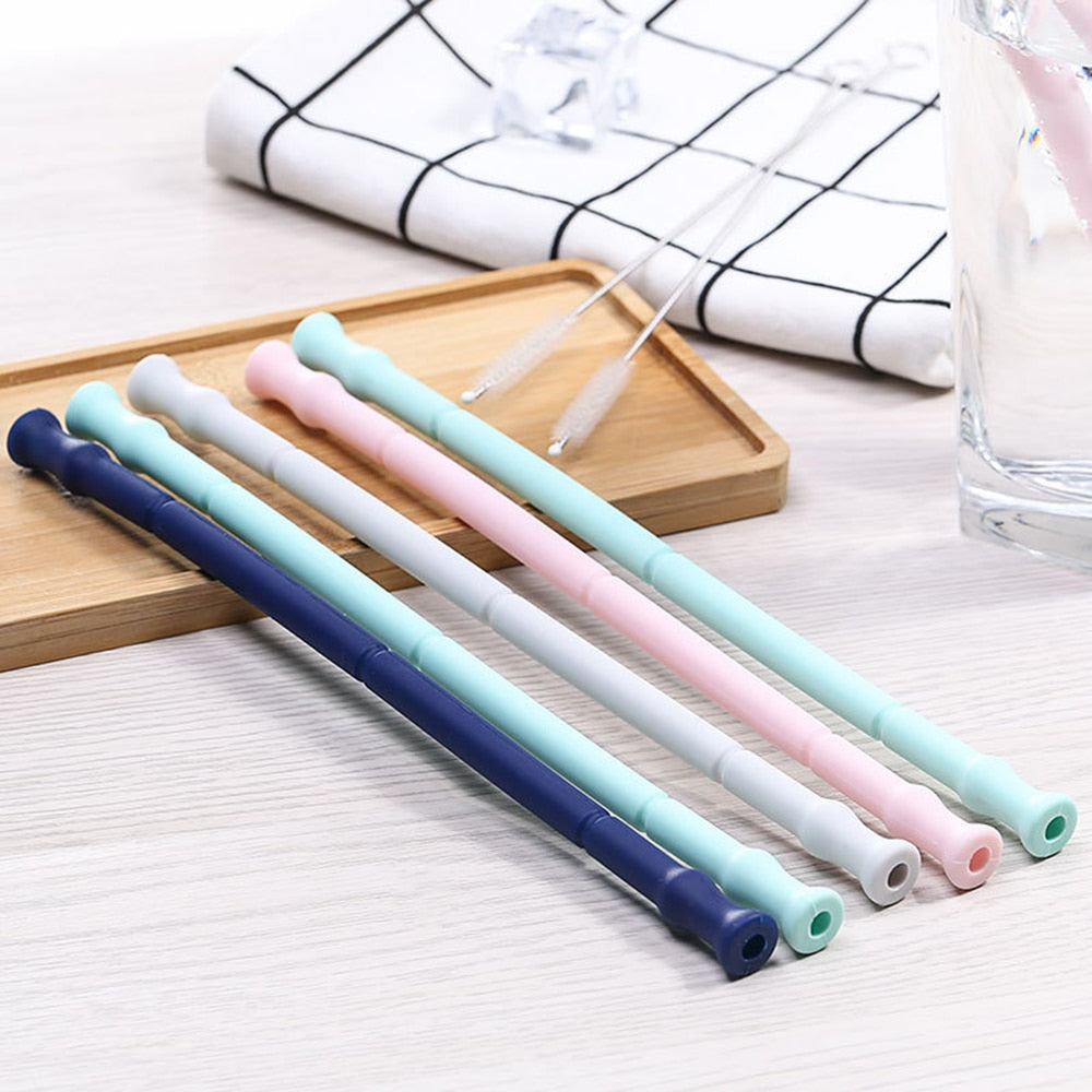 Collapsible Silicone Reusable Straw with Carrying Case