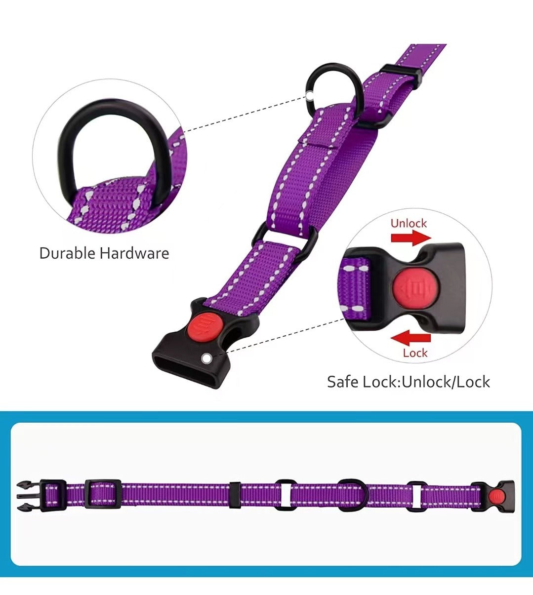 Reflective Dog Collar and Leash Set for Safer Walks