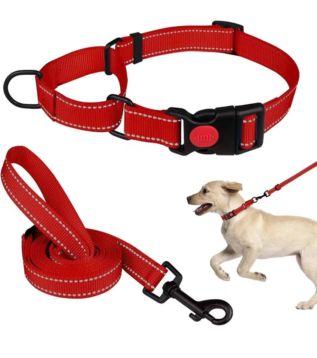 Reflective Dog Collar and Leash Set for Safer Walks
