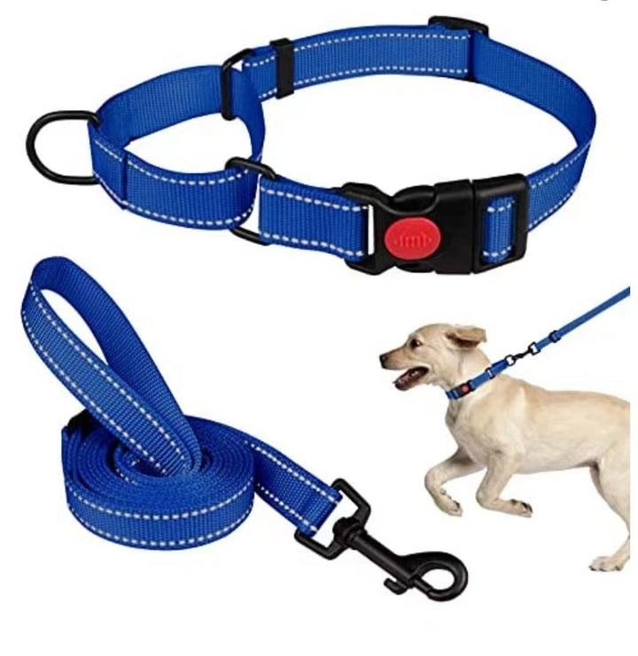 Reflective Dog Collar and Leash Set for Safer Walks