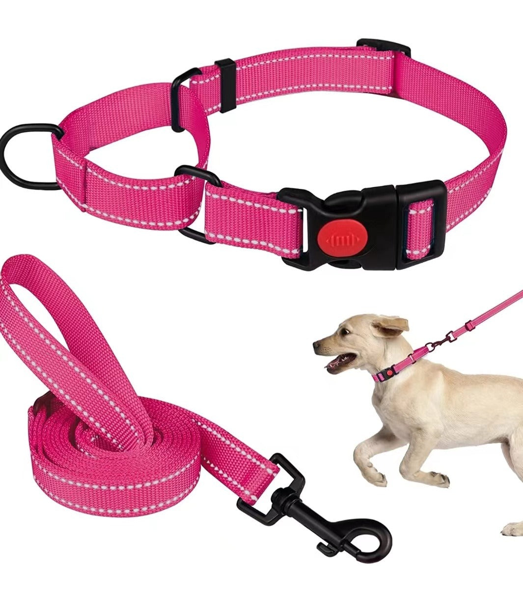 Reflective Dog Collar and Leash Set for Safer Walks