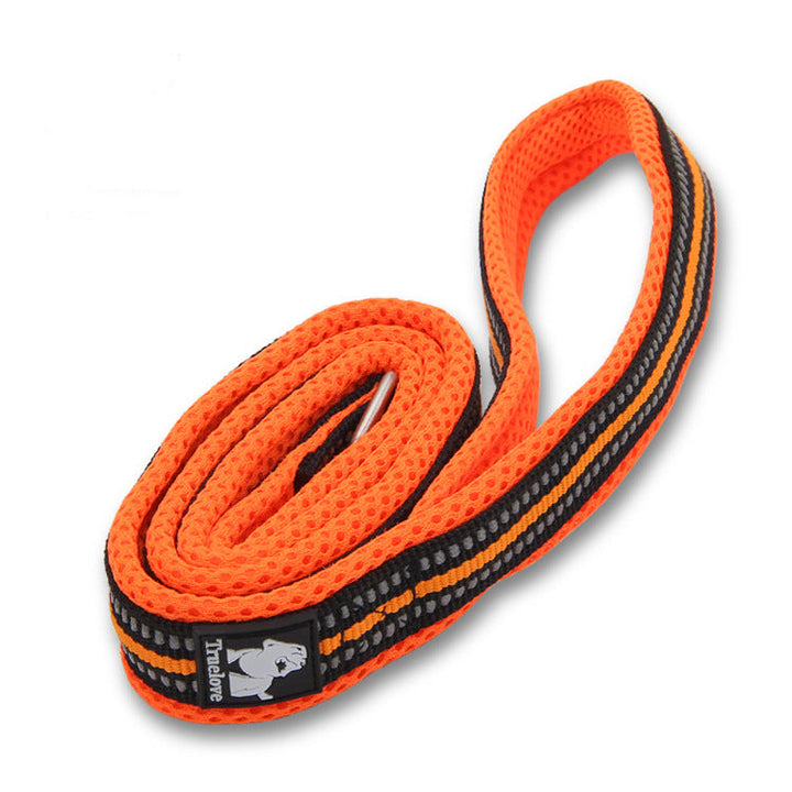 Reflective Nylon Dog Leash for Visible Daily Walks