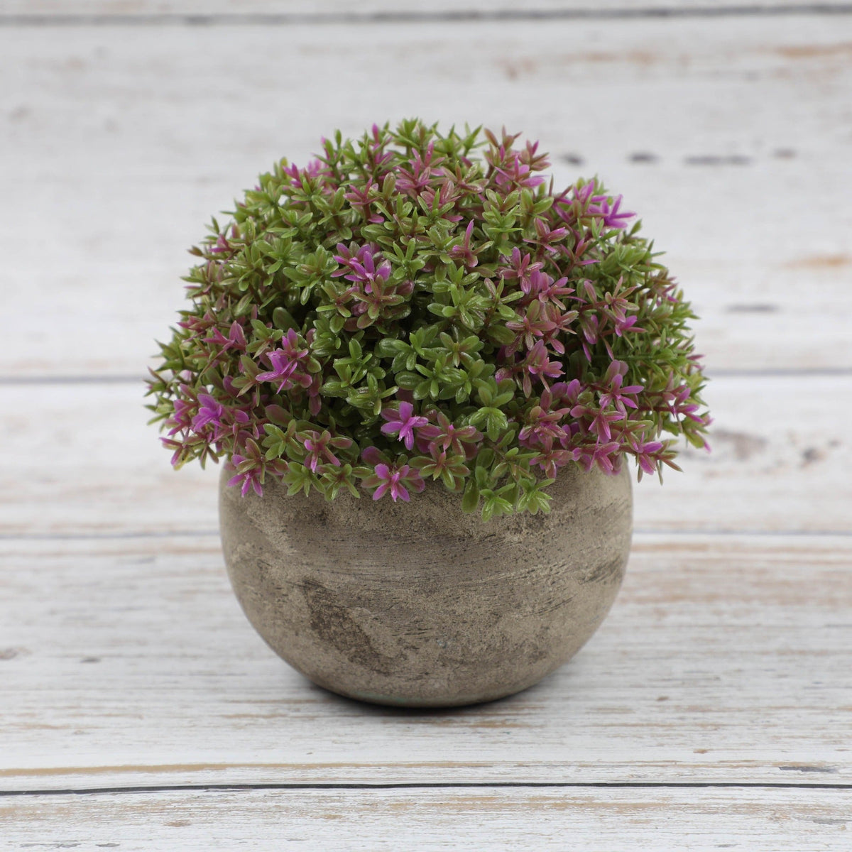 Artificial Bonsai Plants for Effortless Tabletop Decor