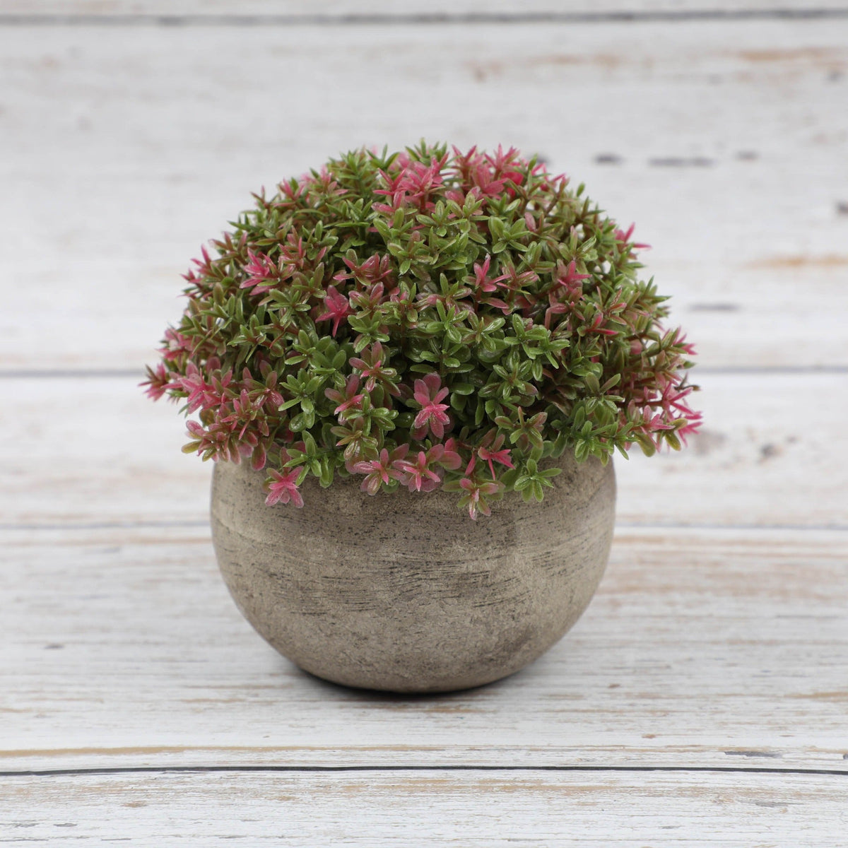 Artificial Bonsai Plants for Effortless Tabletop Decor