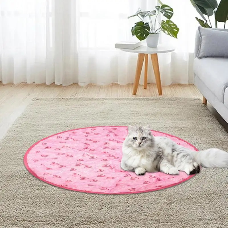 Concealed Motion Cat Toy for Indoor Cat Exercise Play