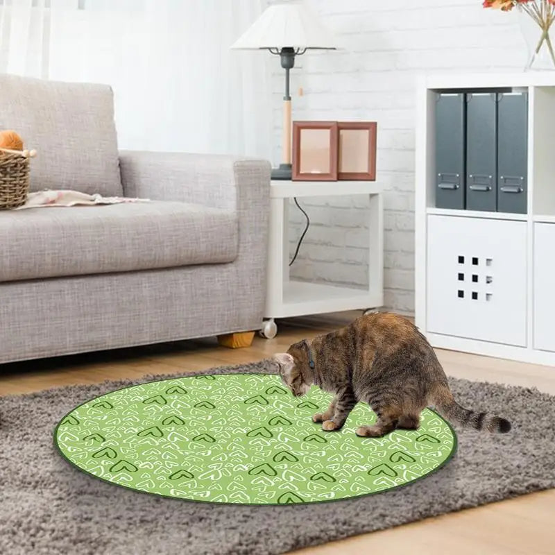 Concealed Motion Cat Toy for Indoor Cat Exercise Play