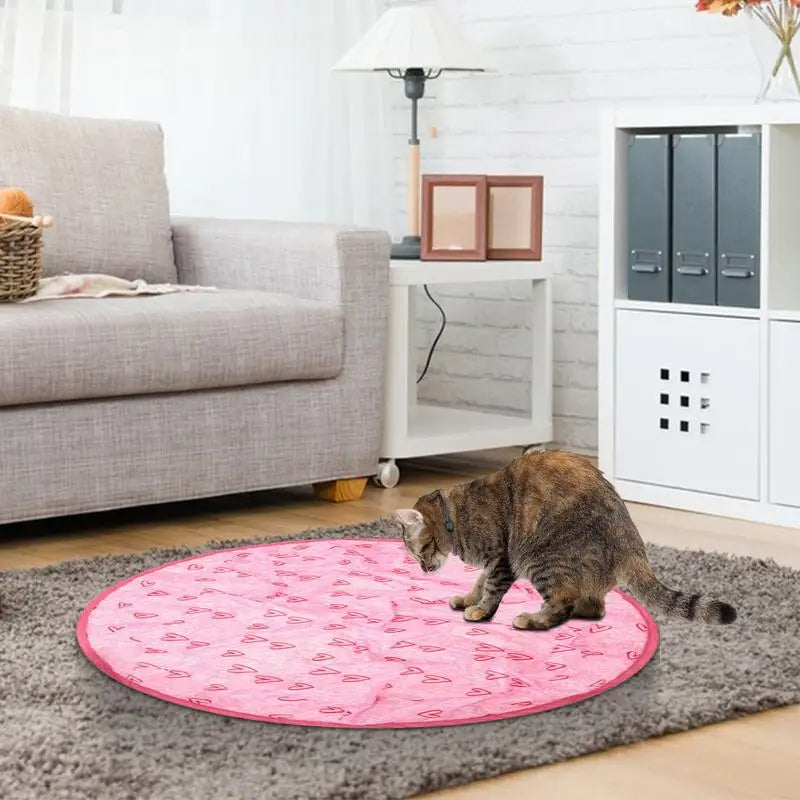 Concealed Motion Cat Toy for Indoor Cat Exercise Play
