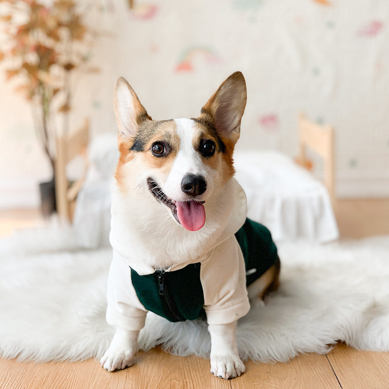 Corgi Dog Hoodie for Cool Weather and Hair Coverage