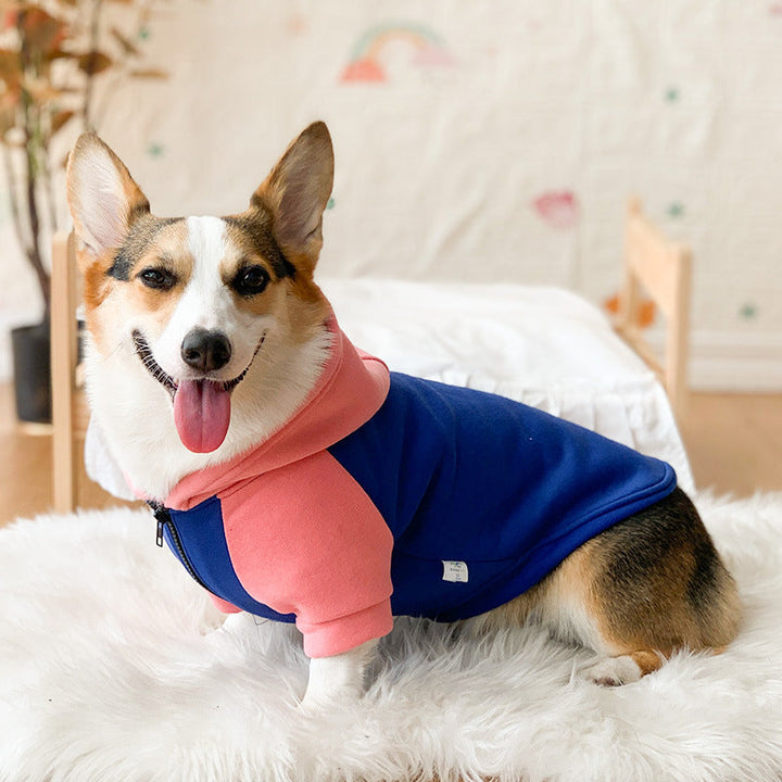 Corgi Dog Hoodie for Cool Weather and Hair Coverage