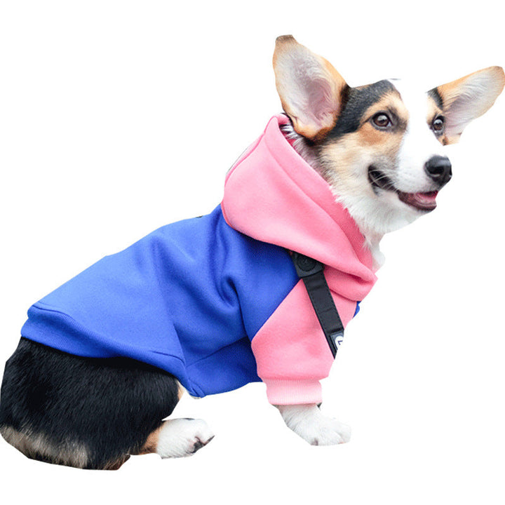 Corgi Dog Hoodie for Cool Weather and Hair Coverage