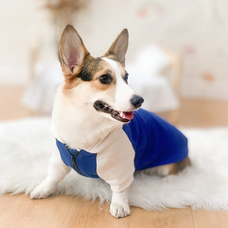 Corgi Dog Hoodie for Cool Weather and Hair Coverage