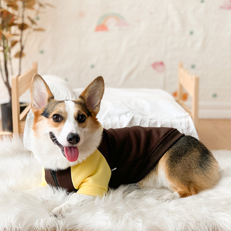 Corgi Dog Hoodie for Cool Weather and Hair Coverage