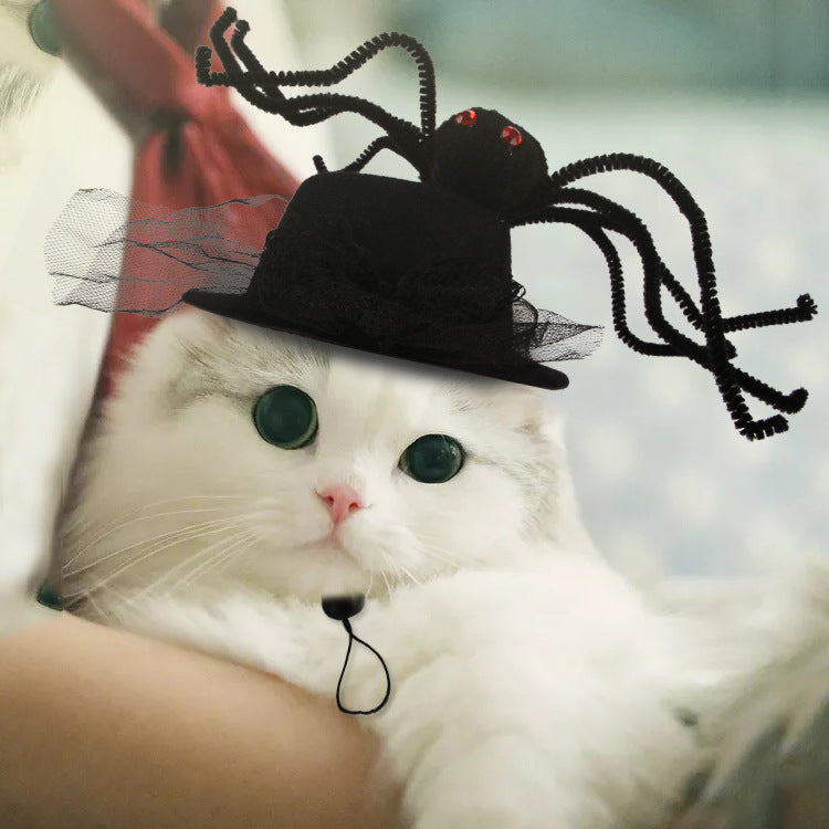Pet Halloween Hats for Cats & Small Dogs, Photo-Ready