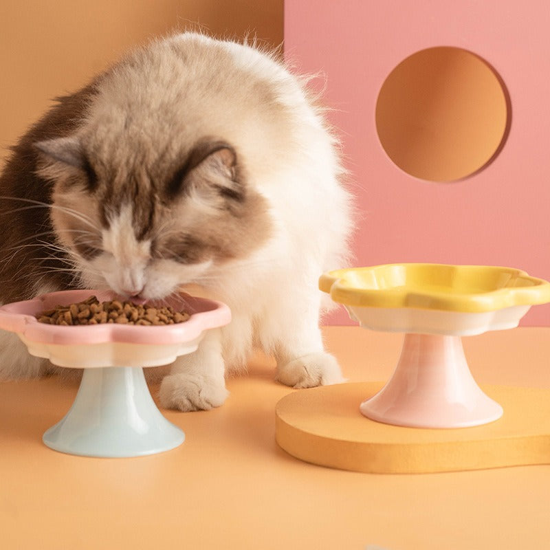 Raised Ceramic Cat Bowl for Stable, Stylish Feeding