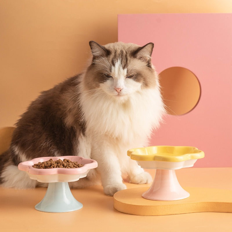 Raised Ceramic Cat Bowl for Stable, Stylish Feeding