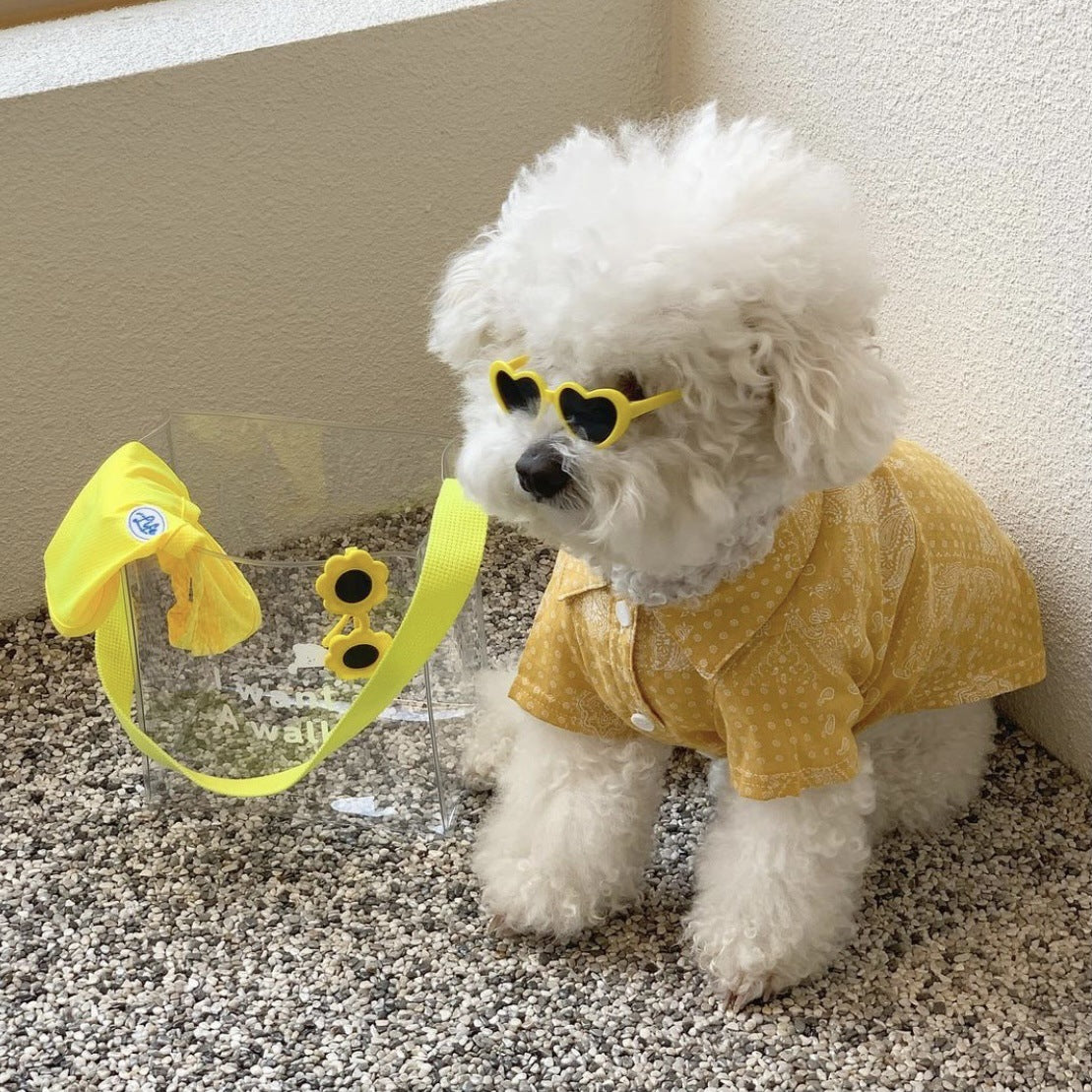 Heart-Shaped Pet Sunglasses for Instantly Photo-Ready Pets