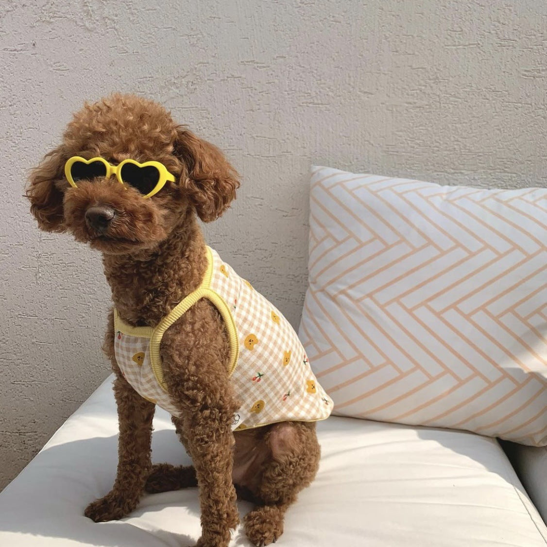 Heart-Shaped Pet Sunglasses for Instantly Photo-Ready Pets