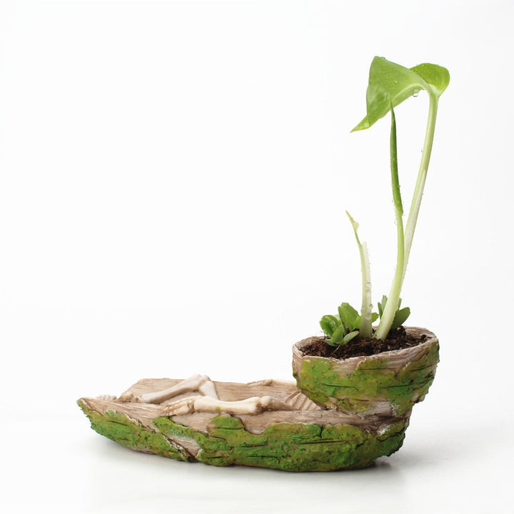 Bone Boat Planter for Playful Sculptural Tabletop Decor