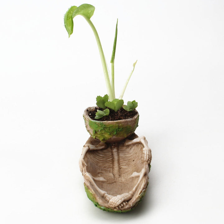 Bone Boat Planter for Playful Sculptural Tabletop Decor