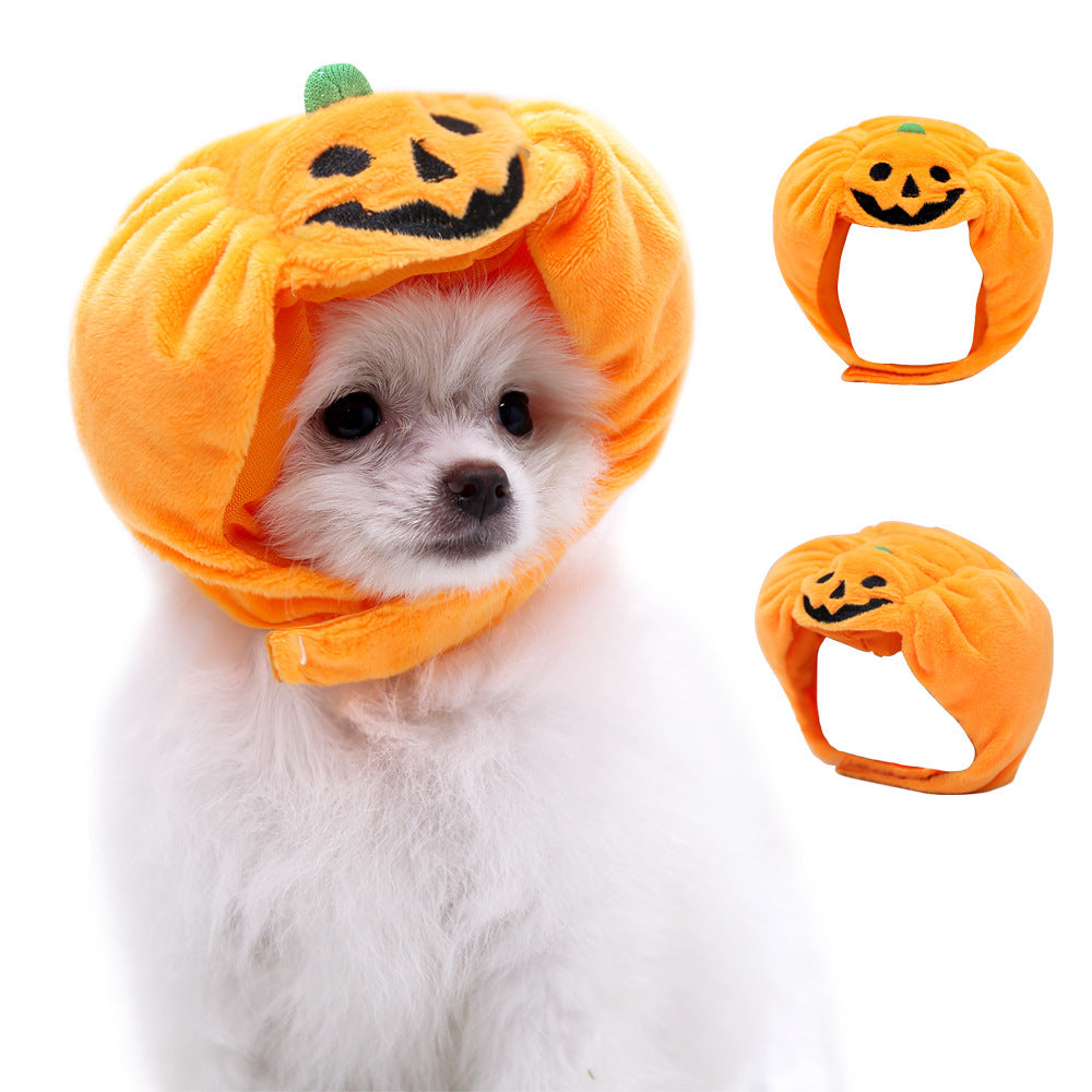 Pumpkin Pet Hat for Adorable Halloween Photo Moments
